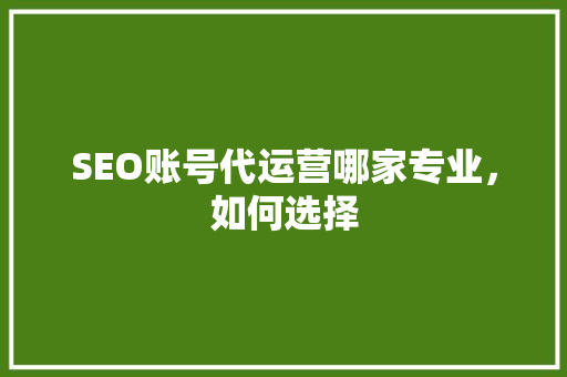 SEO账号代运营哪家专业，如何选择
