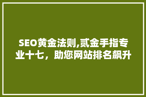 SEO黄金法则,贰金手指专业十七，助您网站排名飙升