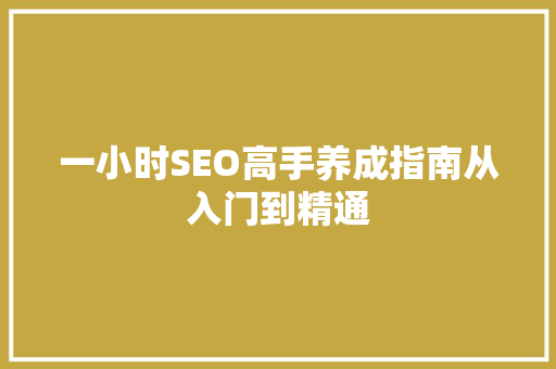 一小时SEO高手养成指南从入门到精通