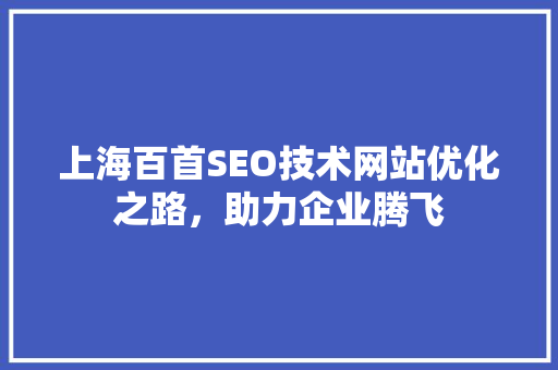 上海百首SEO技术网站优化之路，助力企业腾飞