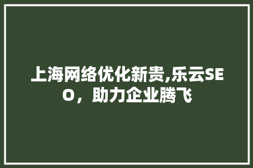 上海网络优化新贵,乐云SEO，助力企业腾飞