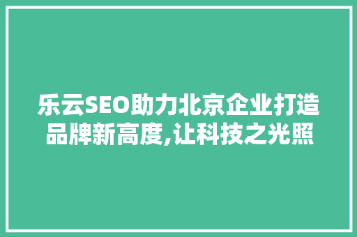 乐云SEO助力北京企业打造品牌新高度,让科技之光照亮推广之路