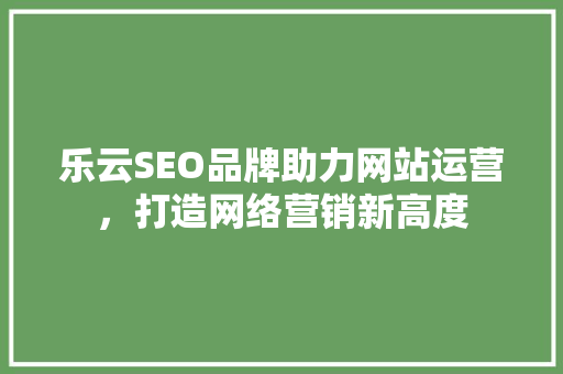 乐云SEO品牌助力网站运营，打造网络营销新高度