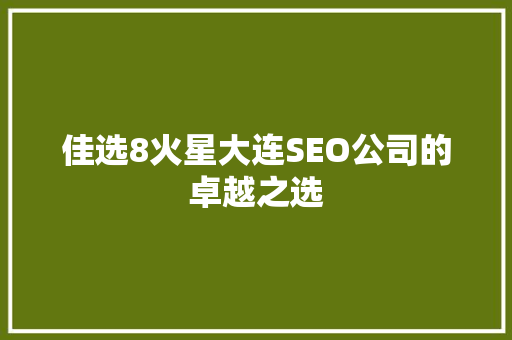 佳选8火星大连SEO公司的卓越之选