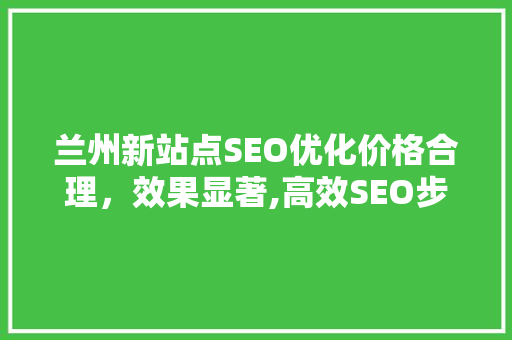 兰州新站点SEO优化价格合理，效果显著,高效SEO步骤