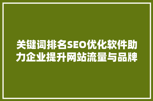 关键词排名SEO优化软件助力企业提升网站流量与品牌影响力