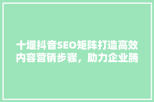 十堰抖音SEO矩阵打造高效内容营销步骤，助力企业腾飞  第1张