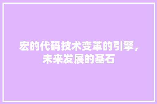 宏的代码技术变革的引擎，未来发展的基石