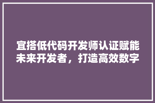 宜搭低代码开发师认证赋能未来开发者，打造高效数字化生态