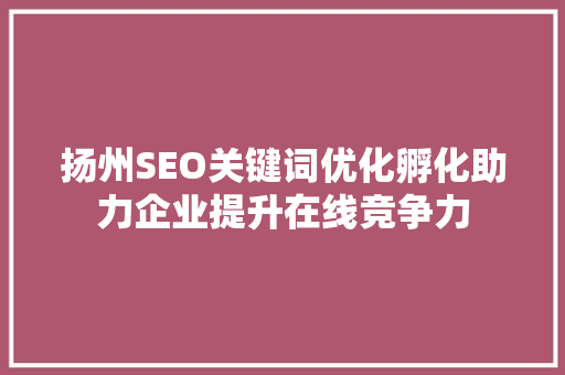 扬州SEO关键词优化孵化助力企业提升在线竞争力  第1张
