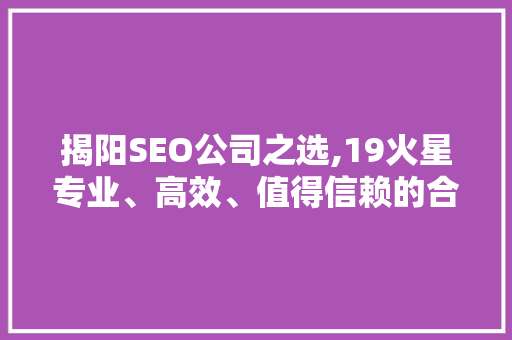 揭阳SEO公司之选,19火星专业、高效、值得信赖的合作伙伴