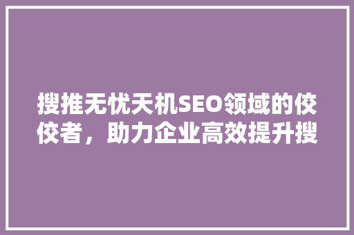 搜推无忧天机SEO领域的佼佼者，助力企业高效提升搜索引擎排名