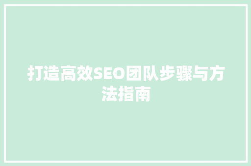 打造高效SEO团队步骤与方法指南