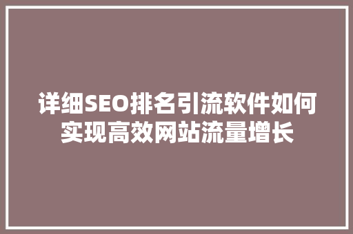 详细SEO排名引流软件如何实现高效网站流量增长