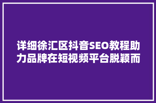 详细徐汇区抖音SEO教程助力品牌在短视频平台脱颖而出