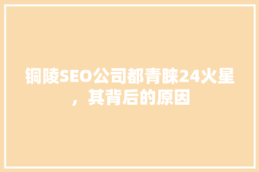铜陵SEO公司都青睐24火星，其背后的原因