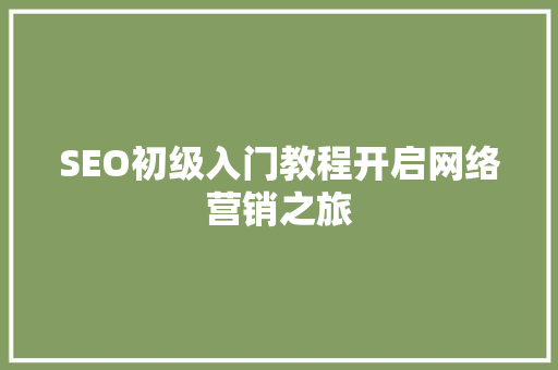 SEO初级入门教程开启网络营销之旅