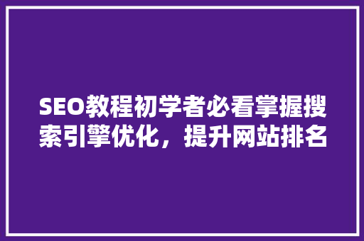 SEO教程初学者必看掌握搜索引擎优化，提升网站排名