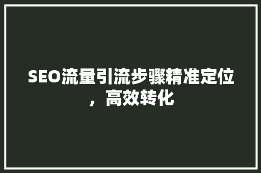 SEO流量引流步骤精准定位，高效转化