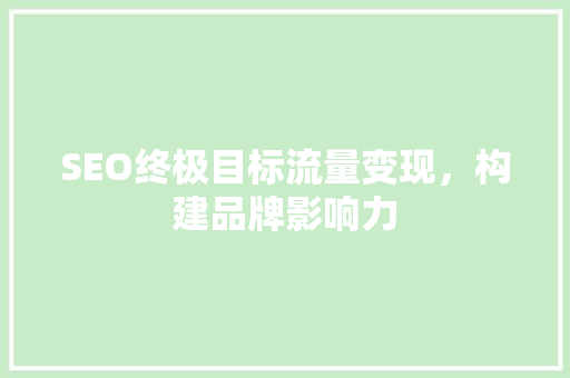 SEO终极目标流量变现，构建品牌影响力
