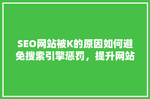 SEO网站被K的原因如何避免搜索引擎惩罚，提升网站排名