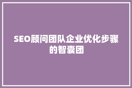 SEO顾问团队企业优化步骤的智囊团