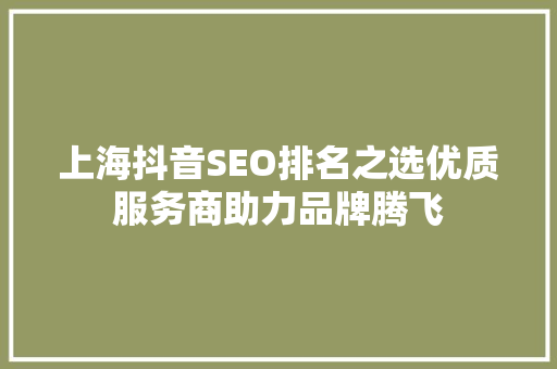 上海抖音SEO排名之选优质服务商助力品牌腾飞