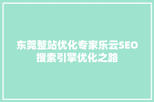 东莞整站优化专家乐云SEO搜索引擎优化之路