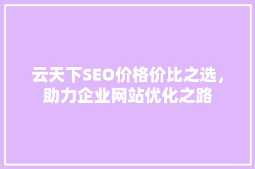 云天下SEO价格价比之选，助力企业网站优化之路