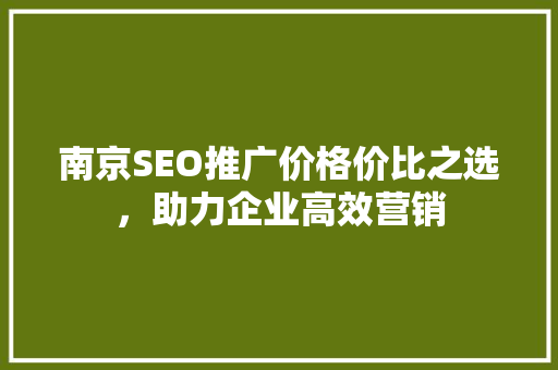 南京SEO推广价格价比之选，助力企业高效营销