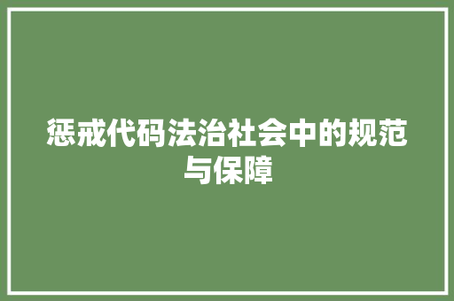 惩戒代码法治社会中的规范与保障