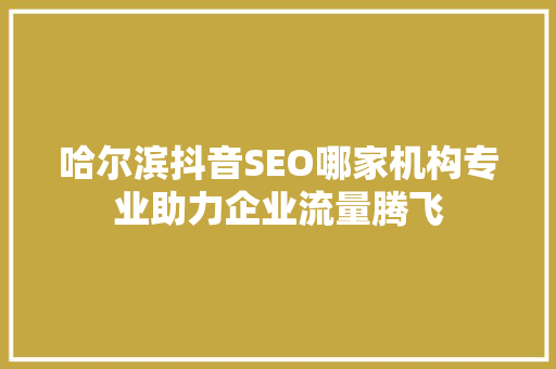哈尔滨抖音SEO哪家机构专业助力企业流量腾飞