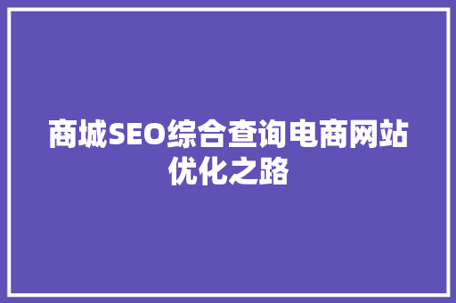 商城SEO综合查询电商网站优化之路
