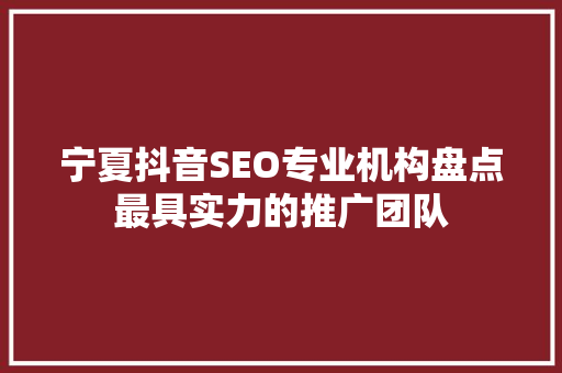 宁夏抖音SEO专业机构盘点最具实力的推广团队