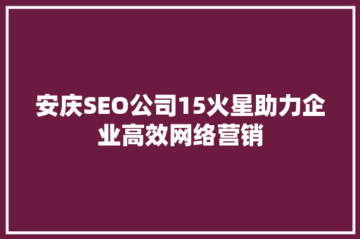 安庆SEO公司15火星助力企业高效网络营销