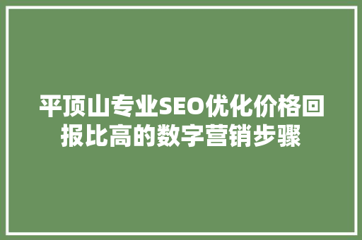平顶山专业SEO优化价格回报比高的数字营销步骤