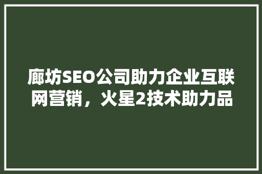 廊坊SEO公司助力企业互联网营销，火星2技术助力品牌腾飞