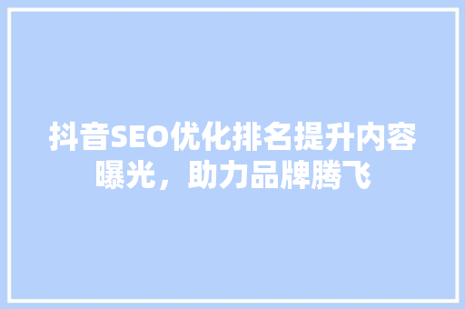抖音SEO优化排名提升内容曝光，助力品牌腾飞