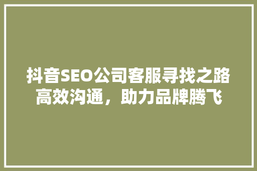 抖音SEO公司客服寻找之路高效沟通，助力品牌腾飞