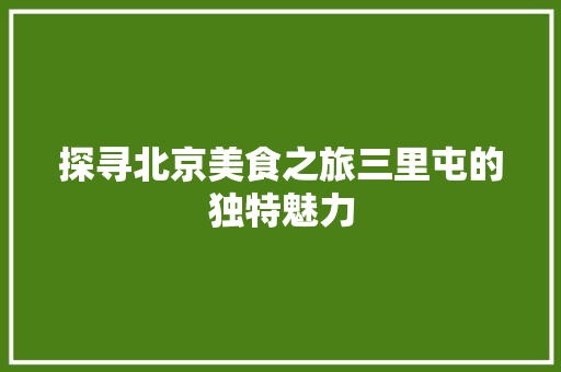 探寻北京美食之旅三里屯的独特魅力
