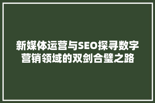 新媒体运营与SEO探寻数字营销领域的双剑合璧之路