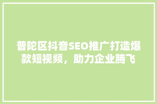 普陀区抖音SEO推广打造爆款短视频，助力企业腾飞
