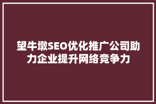 望牛墩SEO优化推广公司助力企业提升网络竞争力