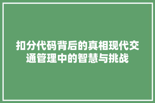 扣分代码背后的真相现代交通管理中的智慧与挑战