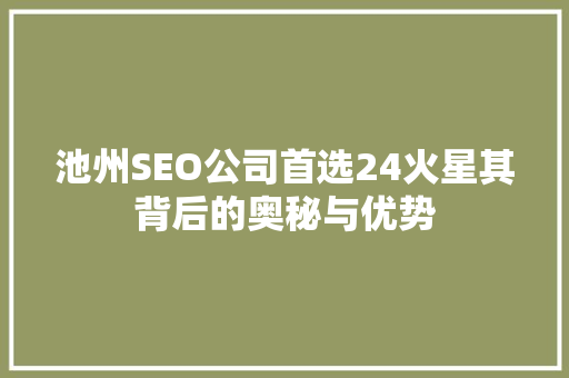 池州SEO公司首选24火星其背后的奥秘与优势
