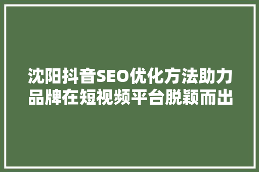 沈阳抖音SEO优化方法助力品牌在短视频平台脱颖而出