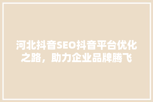 河北抖音SEO抖音平台优化之路，助力企业品牌腾飞