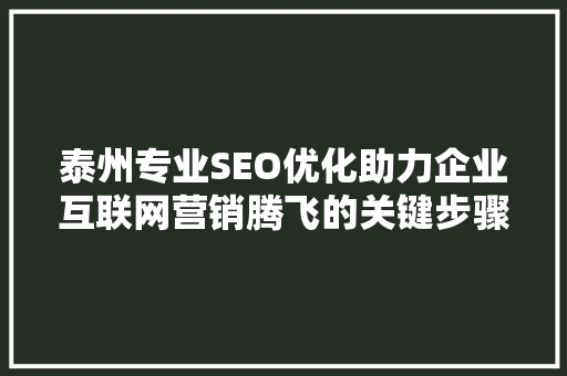 泰州专业SEO优化助力企业互联网营销腾飞的关键步骤