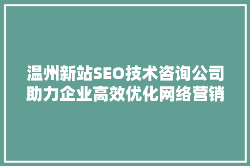 温州新站SEO技术咨询公司助力企业高效优化网络营销，抢占市场先机