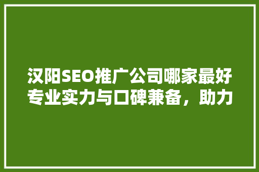 汉阳SEO推广公司哪家最好专业实力与口碑兼备，助力企业腾飞